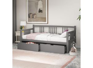 3431280138324 - Okwish - Schlafsofa 90200 Einzelbett mit zwei Staufächern Massivholzstruktur Massivholzbett Jugendbett Kinderbett Tagesbett grau