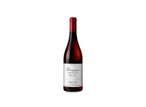 3477600300996 - Maison Nicolas Potel Nicolás Potel Borgoña Pinot Noir 2021 - 75cl