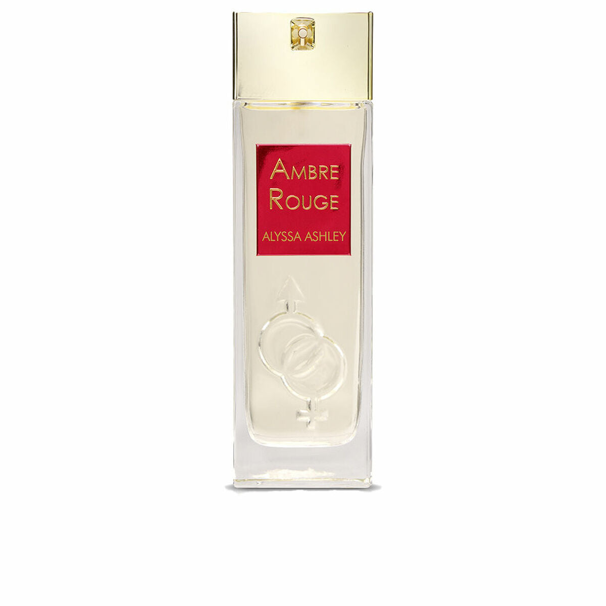 3495080222102 - Unisex-Parfüm AMBRE ROUGE EDP EDP 100 ml