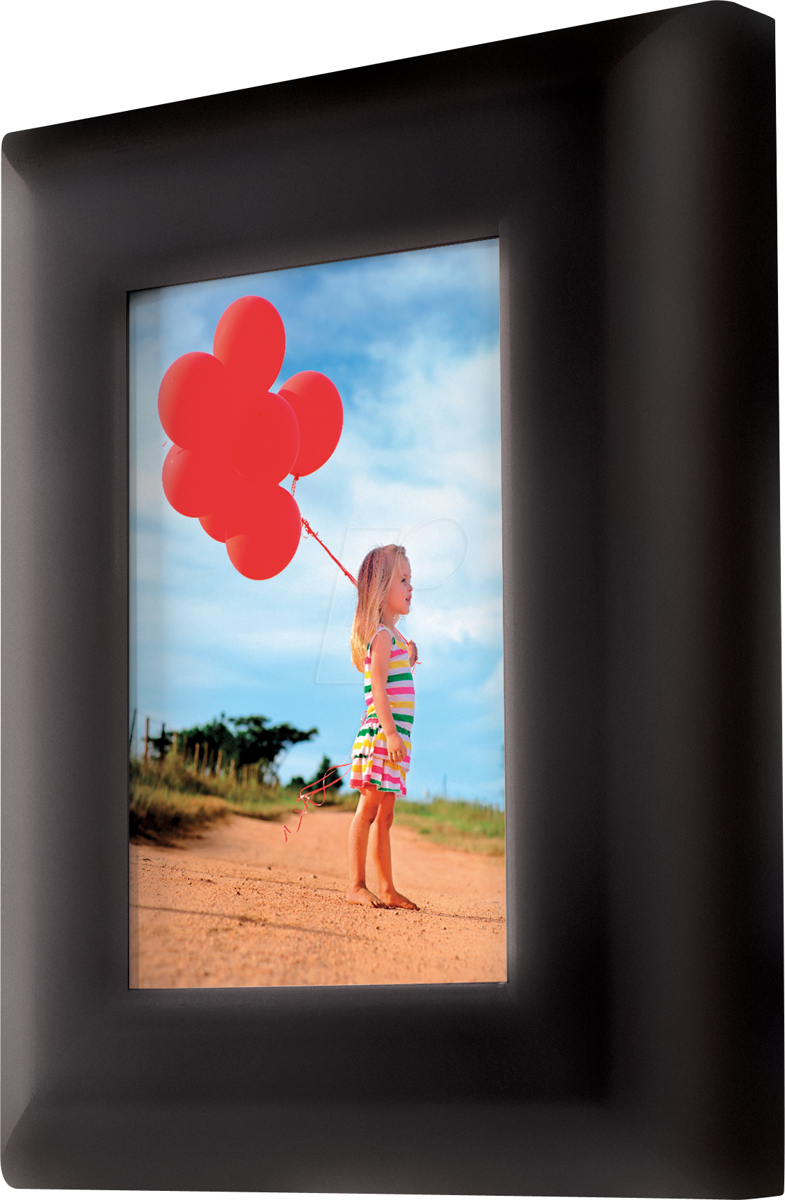 3520190938855 - 5451EURD Schlüsselkasten schwarz mit 5 Haken 3520190938855 Master Lock