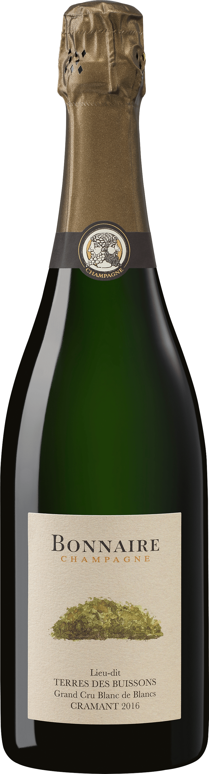 3559800000125 - 2016 Bonnaire Champagner »Terres des Buissons«