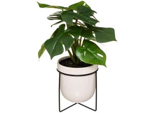 3560231551506 - Künstliche Monstera - Metallfuß H33 cm - Atmosphera créateur dintérieur