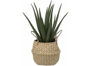 3560231660567 - Künstliche Aloe Vera - Schilfrohrtopf - H40 cm - Atmosphera créateur dintérieur