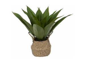 3560231660628 - Atmosphera Créateur Dintérieur - Künstliche Agave - Topf aus Schilfrohr - H48 cm