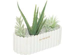 3560232601903 - Atmosphera Créateur Dintérieur - Kunstpflanzen Aloe und Sukkulenten im Keramiktopf rivi h 20 cm