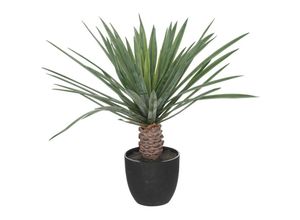 3560232601927 - Atmosphera - Künstliche Palme Rivi Zementtopf - H52 cm créateur dintérieur