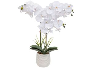 3560232812033 - Atmosphera Créateur Dintérieur - Künstlich Orchidee Riva