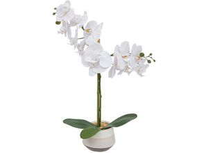 3560232812057 - Atmosphera Créateur Dintérieur - Künstlich Orchidee Clera