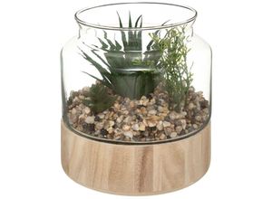 3560233822901 - Atmosphera Créateur Dintérieur - Terrarium für künstliche Pflanzen - Glastopf - H17 -5 cm