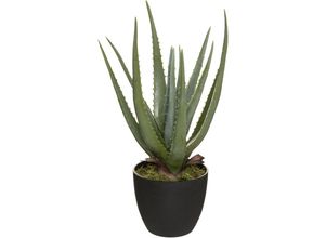 3560233822932 - Atmosphera Créateur Dintérieur - Künstliche Aloe Vera H44 cm