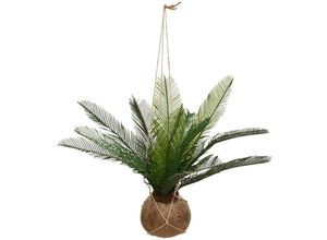 3560237550466 - Künstliche Palme Cuba - H50 cm - Atmosphera créateur dintérieur