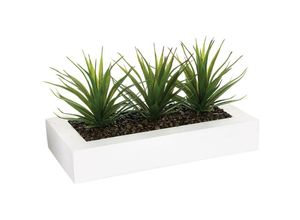 3560238546659 - Ac-deco - Tafelaufsatz 3 künstliche Aloe Vera H17cm - Atmosphera créateur dintérieur