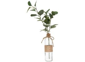 3560238705704 - Atmosphera Créateur Dintérieur - Künstlicher Eukalyptus - Glasvase - H45 cm