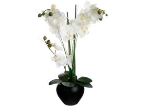 3560239260851 - Künstliche Orchidee - schwarze Keramikvase - H53 cm - Atmosphera créateur dintérieur