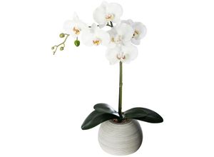 3560239688976 - Atmosphera Créateur Dintérieur - Künstliche Orchidee - Zementtopf - H53 cm