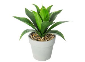 3560239698951 - Atmosphera Créateur Dintérieur - Künstliche Aloe Vera H34 cm