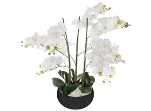 3560239702412 - Atmosphera Créateur Dintérieur - Künstliche Orchidee - schwarzer Keramiktopf h 65 cm