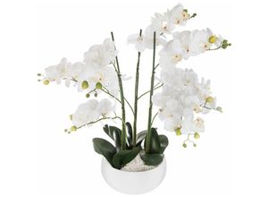 3560239702429 - Künstliche Orchidee - weißer Keramiktopf h 65 cm Atmosphera Créateur Dintérieur