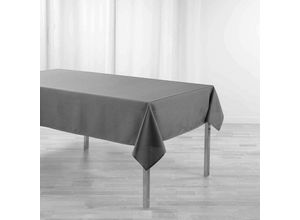 3574387219562 - Douceur Dintérieur - Fleckenabweisende Tischdecke newton 140 x 250 cm