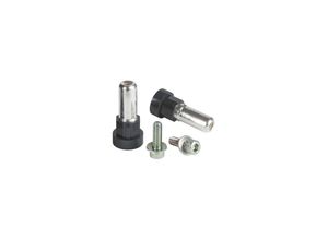 3606480021398 - Schneider LV432518 ComPacT nsx - Stift für Sockelentriegelung - 2 3 4P für NSX400-630 - Satz von 2