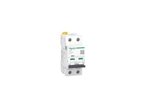 3606480085963 - Schneider A9F90273 Leistungsschalter mit Sofortauslösung 25 A - 2P - iC60L - Kurve MA