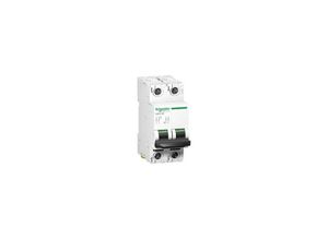 3606480424250 - - Schneider A9N61525 Leistungsschalter 2P 16A C60 C60H-DC Kurve c
