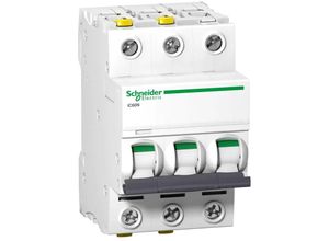 3606480441592 - Leitungsschutzschalter iC60N 3P 32A d Charakteristik A9F05332 - Schneider Electric