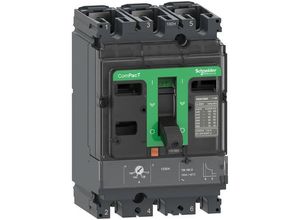 3606481997821 - C16N3TM160 Leistungsschalter 1 St