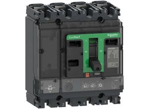 3606481998262 - C10N42D040 Leistungsschalter 1 St