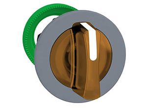 3606489753856 - ZB5FK1553C0 Leuchtwahlschalter-Frontelement 1 St