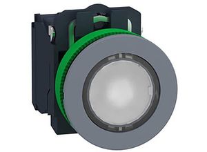 3606489761448 - XB5FW31M5C0 Leuchttaster 1 St