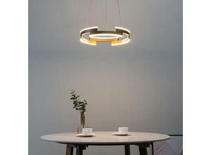 3611839020885 - Kosilum - Elegante LED-Hängeleuchte Goldring - Ola