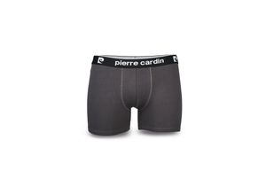 3614001886319 - Herren Retroshorts 2er Pack - GrM darkgrey