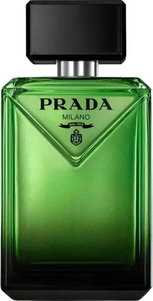 3614274172997 - Paradigme Eau de Parfum (EdP) 100 ml 3614274172997 - Paradigme Eau de Parfum (EdP) 100 ml