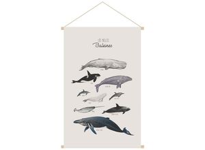 3662275135121 - Kakemono für Kinder Wale L40 x B60 cm ocean - Grau