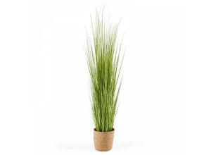 3663095032461 - Oviala - Kunstpflanze Wildgras Miscanthus Höhe 185 cm Oà¯ko Grün - Grün