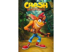 3665361061571 - Crash Bandicoot Poster Classic Crash