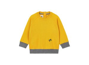 3666072177513 - - Sweatshirt TARO in boudor Gr62 68