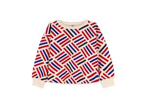 3666072529367 - - Sweatshirt BANDE AOP in avalanche multi Gr110