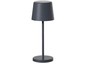 3666162008055 - Tischlampe mini kelly mini Grau anthracite