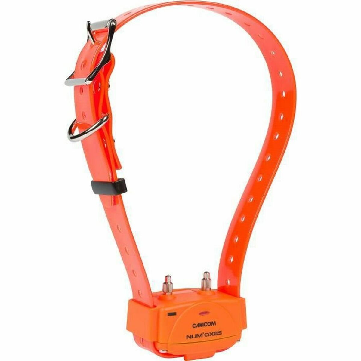 3700192310228 - Dressurhalsband für Hunde NumAxes Orange