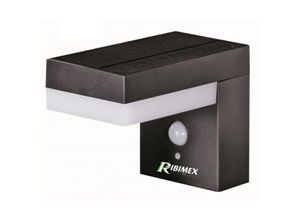 3700194420161 - Ribimex - 6w solar-led-wandleuchte mit bewegungsmelder PRLUMSOL1 M