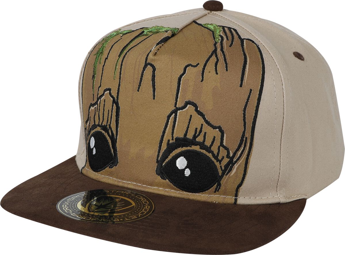 3700334765947 - Groot Cap multicolor