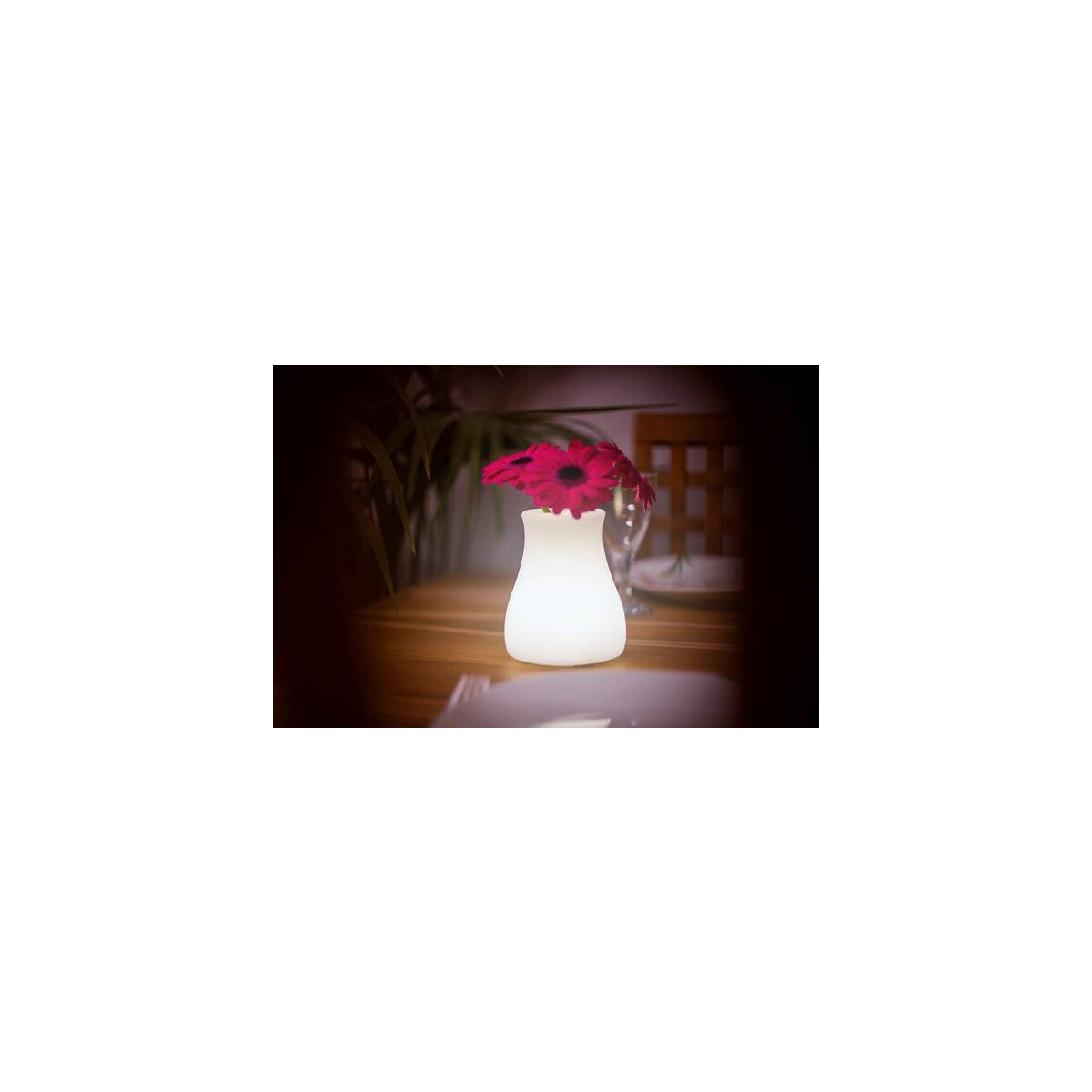 3700568228294 - OLIO kabellose LED-Tischvase 11x13cm App-control