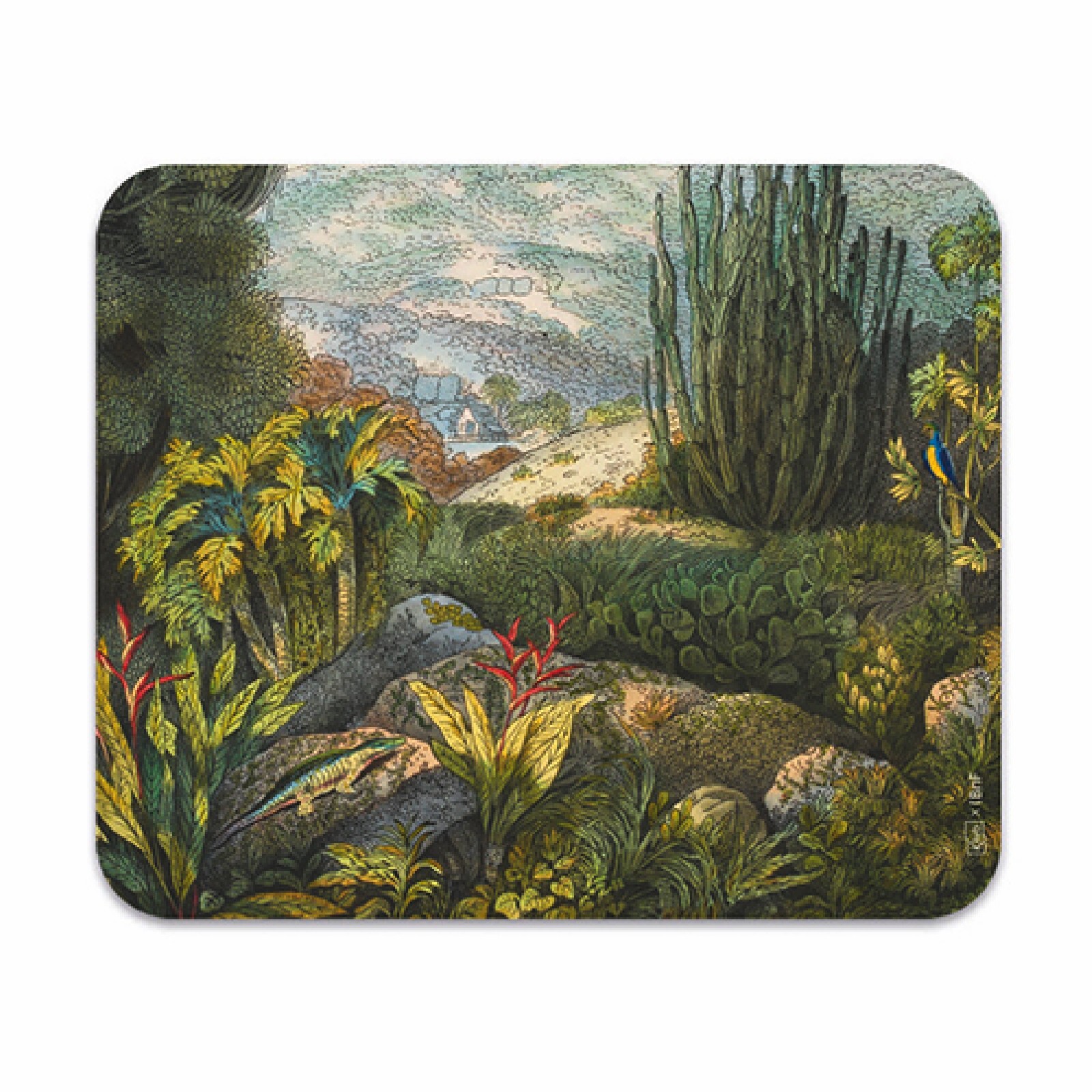 3700572783833 - Mikrofasertuch für Kaktusbrillen Voyage