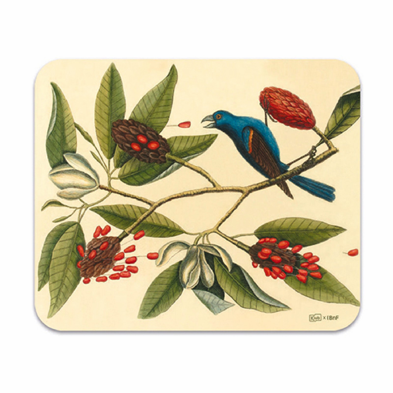 3700572783857 - Mikrofasertuch für Brille Vogel Zweig Voyage