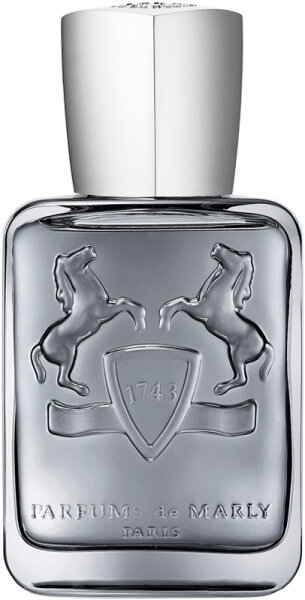 3700578506771 - Castley Eau de Parfum (EdP) 75 ml