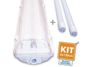 3700710806264 - Arum Lighting - Kit 2 Röhren führte 120cm 4000K + wasserdichtes Gehäuse