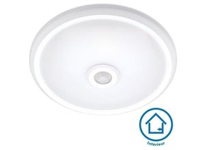 3700710823858 - Arum Lighting - Bewegungsmelder Deckenleuchte IP20 12W led clark Naturweiß Température de Couleur Blanc neutre 4000K