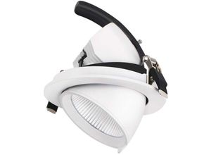 3700710832027 - Arum Lighting - Pro Snail cob 30W verstellbarer LED-Einbaustrahler Température de Couleur Blanc neutre 4000K